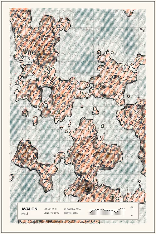 Item #347000002 Media