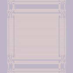 Warp #255