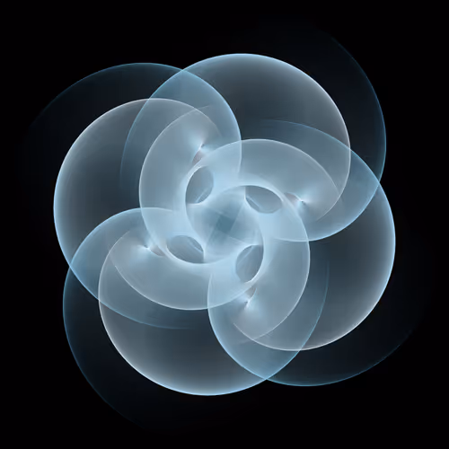 Item #221000078 Media