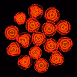 Flowers #4745