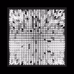 Transitions #2447