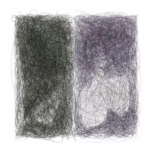 Scribbled Boundaries #494