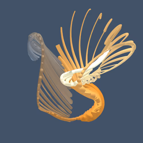 Item #268000063 Media