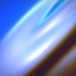Flux #288