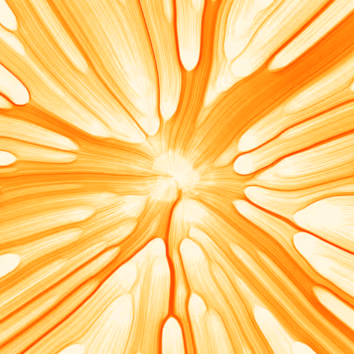 Item #96000313 Media