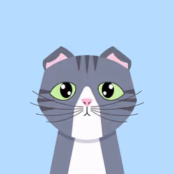 CatBlocks #8