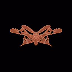 Cryptoblots #1798