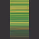 273000155