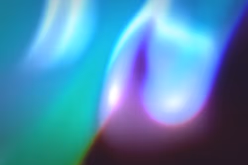 Item #296000140 Media