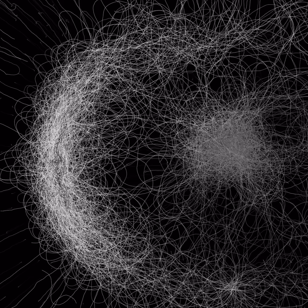 Phototaxis #957
