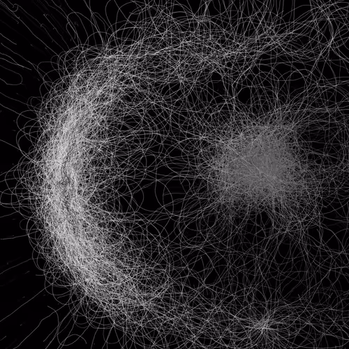 Phototaxis #957