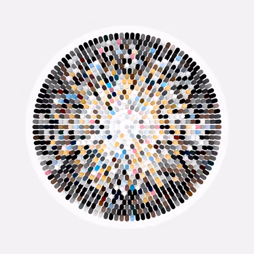 Transitions #2873