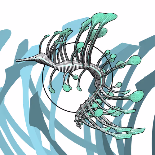 Item #160000780 Media