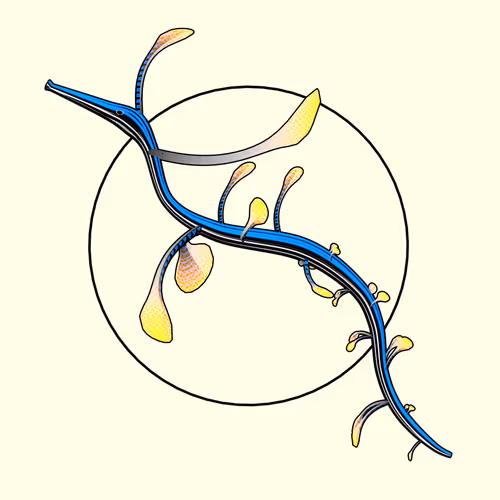 Item #160000544 Media