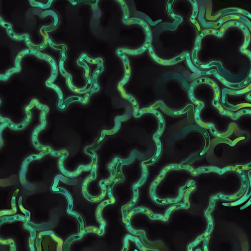 Item #269000108 Media