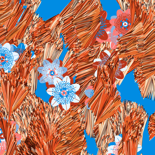 Fragments Of An Infinite Field By Monica Rizzolli
