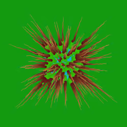 Star Flower #523