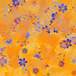 Fragments of an Infinite Field #873