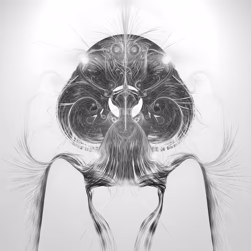 Item #329000076 Media