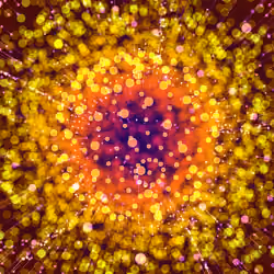 Cosmic Reef #271