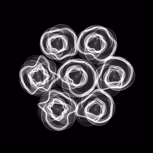 Flowers #5135