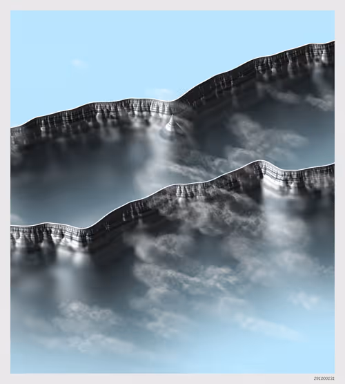 Item #291000131 Media