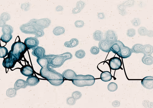 Item #328000050 Media