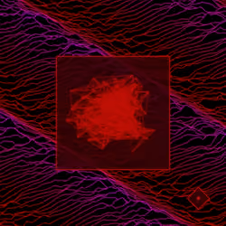 Unknown Signals #842