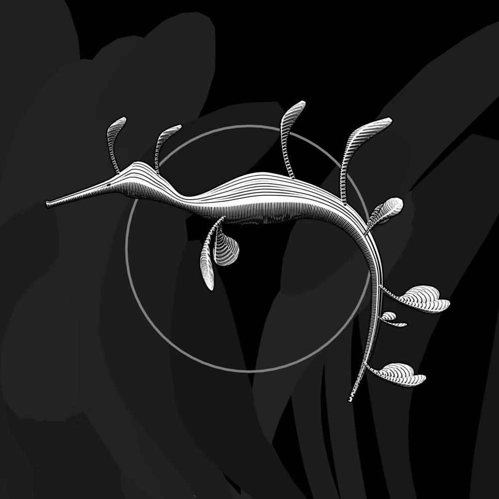 Seadragons #992