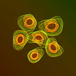 Flowers #5644