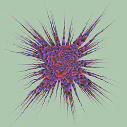 Star Flower #854