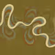 284000307