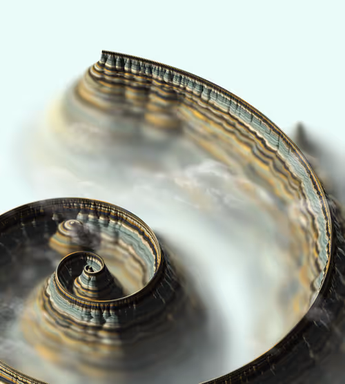 Item #291000050 Media