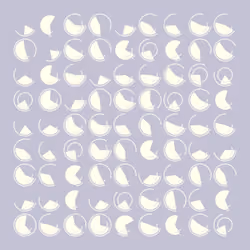Dynamic Slices #351