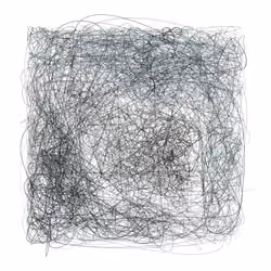 Scribbled Boundaries #444