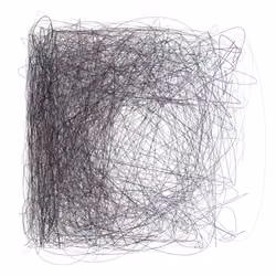 Scribbled Boundaries #535