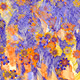 Fragments of an Infinite Field #140