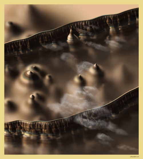 Item #291000110 Media