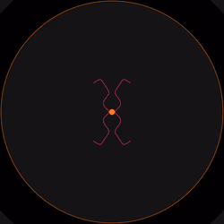 Petri #153