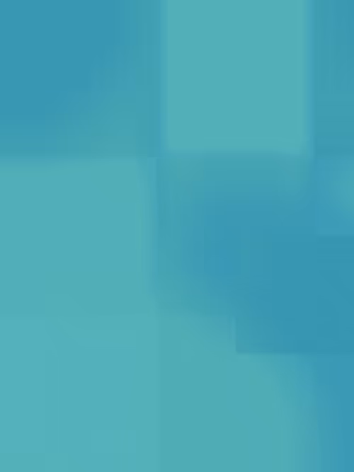 Item #332000338 Media