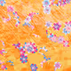 Fragments of an Infinite Field #731