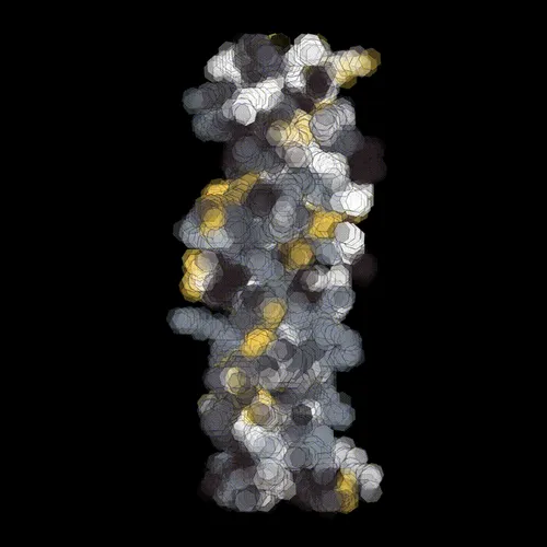 Item #287000051 Media