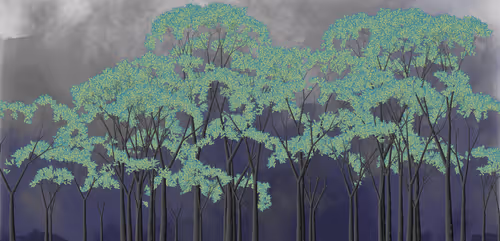 Item #254000007 Media