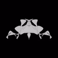 Cryptoblots #1335
