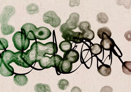 Item #328000284 Media