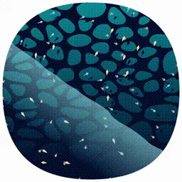 Item #107000350 Media