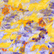 Fragments of an Infinite Field #3