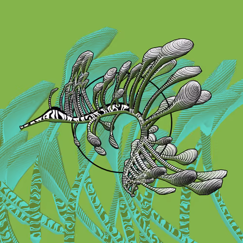 Seadragons #533