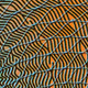102000303