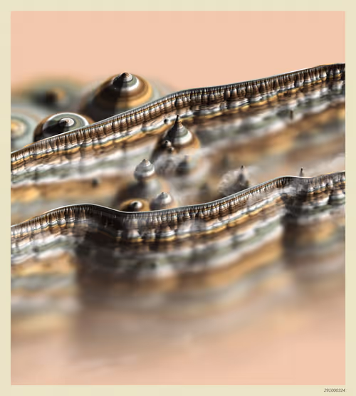 Item #291000324 Media